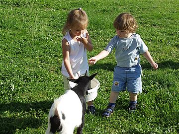 Kinder mit Ziege in St. Englmar