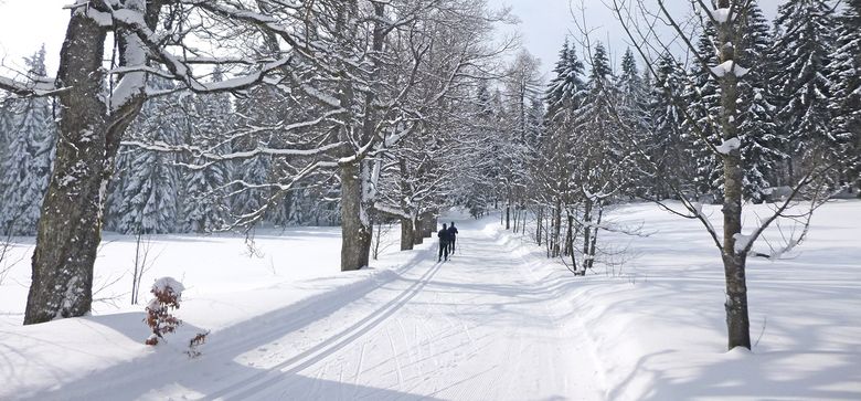 Winterpanoramaweg in St. Englmar