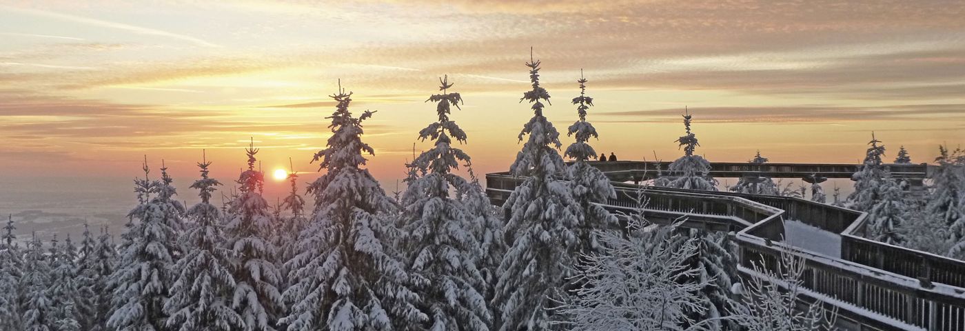 WaldWipfelWeg im Winter