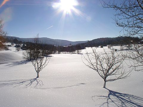 Winteridylle im verschneiten Kurpark