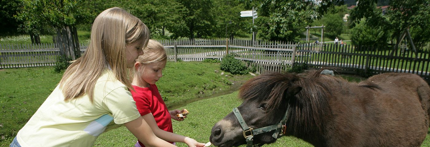 Kinder mit Pferd im Frühling in St. Englmar