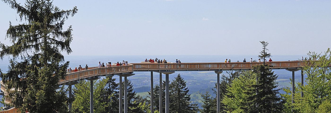 Panoramablick am Waldwipfelweg