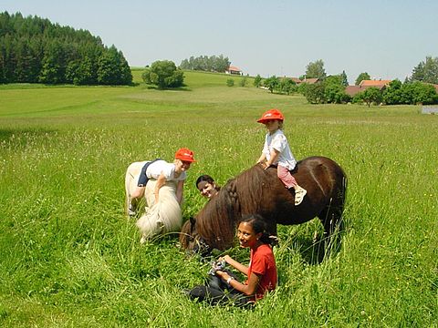 Ausritt auf Ponys in Schwarzach