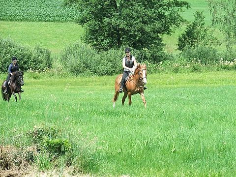 Anja´s Pony- Reiten über die Felder