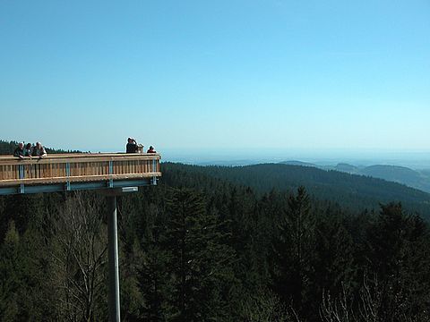 Wunderbare Aussicht auf dem WaldWipfelWeg in Maibrunn