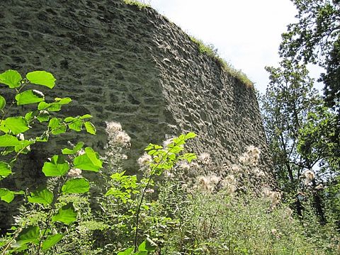 Burgmauer im Frühling